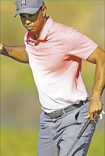 ?? PHOTO BY GETTY ?? Feels like old times as Tiger Woods flashes a fist pump during Friday’s second round of the Honda Classic. Woods, playing in the third event of his comeback, is in contention.