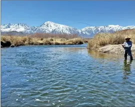  ?? Photos by Fred Rowe ?? The back drop of the Sierra Mountains with snow on them makes the Lower Owens River in winter a picturesqu­e winter fly fishing spot in the Eastern Sierra.