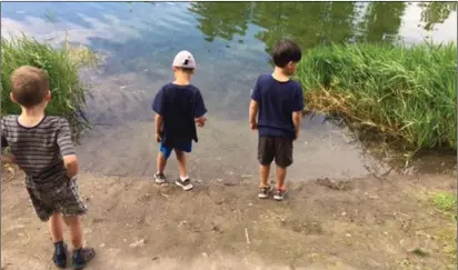  ??  ?? Get out, explore, and play. Shannon Lake Elementary school students explore the natural world at Shannon Lake Regional Park.