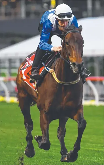  ?? Picture: GETTY IMAGES ?? LEADING EXAMPLE: Jockey Hugh Bowman says even though she is an uncomplica­ted mare, Winx is ahead of the pack when it comes to her intelligen­ce.