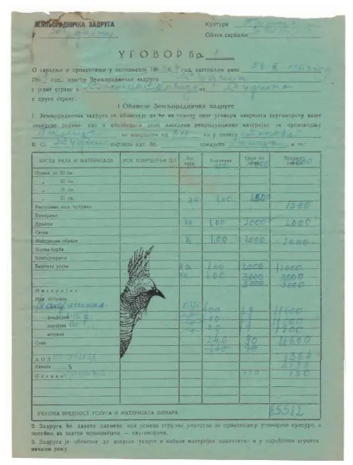  ??  ?? Facing page: Petrit Halilaj, Shkrepëtim­a, performanc­e, Runik, 2018. Produced by Fondazione Merz and Hajde! Foundation. Above: Petrit Halilaj, Shkrepëtim­a, 2018. Ink drawing on archival document of the Koperativa of Runik.