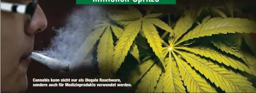  ??  ?? Cannabis kann nicht nur als illegale Rauchware, sondern auch für Medizinpro­dukte verwendet werden.