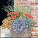  ?? WINNERS] [PROVEN ?? For lush flowers like this all summer, a container planting of annuals needs regular fertilizer.
