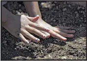  ??  ?? Kalynn Allen, a first-grade student at Riverwood Elementary, pats down soil as she learns about gardening during planting day with members of The Kitchen Community and students from Kennesaw State.