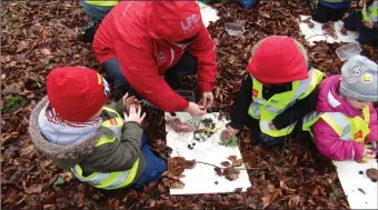  ??  ?? Children from Cosy Cats preschool taking part in Sligo Woodland School field trip at Cleveragh recently. The concept is becoming increasing­ly popular in Ireland.