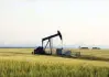  ?? — Reuters ?? An oil pump jack pumps oil in a field near Calgary, Alberta, Canada.