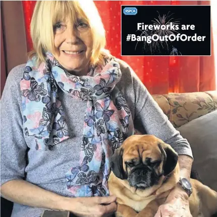  ?? VETS NOW/ PA WIRE ?? ● Sandra Rolfe with her dog Penny, a King Charles spaniel-pug cross, which was hit by a car after being spooked by firework noise and running into the road