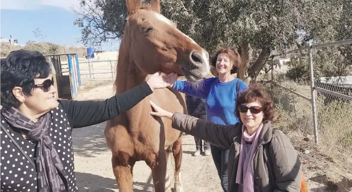  ?? Foto: Susana Salamanca ?? Der Workshop in Turre für Frauen war ein Erfolg. Die Teilnehmer­innen wollen die Sitzungen mit den Pferden fortsetzen.