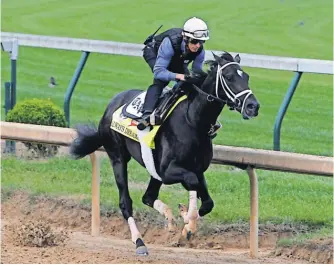  ?? GARRY JONES, AP ?? Always Dreaming is owned by the Brooklyn Boyz Stables, whose owners have long loved racing.