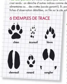  ??  ?? Pour aller plus loin. On mène l’enquête pour savoir où l’animal s’est rendu : on déniche d’autres indices comme des restes alimentair­es ou… des crottes (succès garanti !). Et, pour trouver des fiches d’observatio­n détaillées, on file sur le site