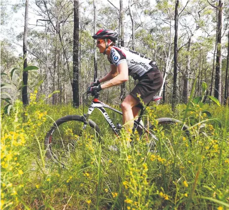  ??  ?? The Nerang State Forest has some great mountain bike trails.