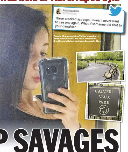  ??  ?? Woman, 18, who posted on Twitter (above) says police handcuffed her and drove her from the Brooklyn park (below) and sexually assaulted her.