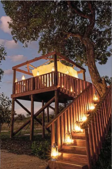  ?? ?? The Manor House boasts a magnificen­t treehouse, where you can book a magical sleep-out.