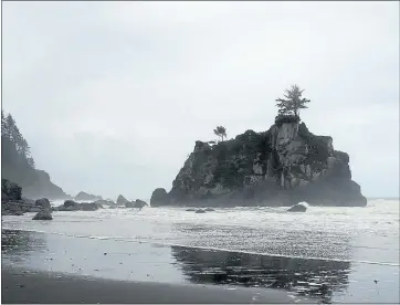  ?? MARTA YAMAMOTO ?? Northern California’s Hidden Beach dazzles with sweeping ocean views, dramatic sea stacks and a driftwood-strewn cove.