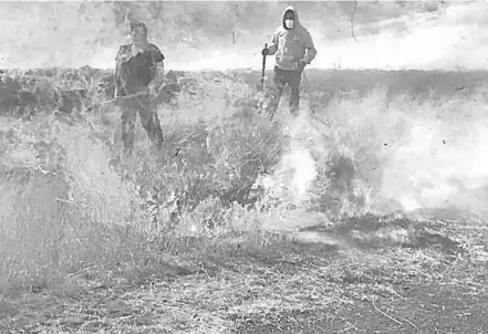  ?? /CORTESÍA/PROTECCIÓN CIVIL DE GUANAJUATO ?? En Guanajuato se logró controlar el incendio en la sierra de Jerécuaro