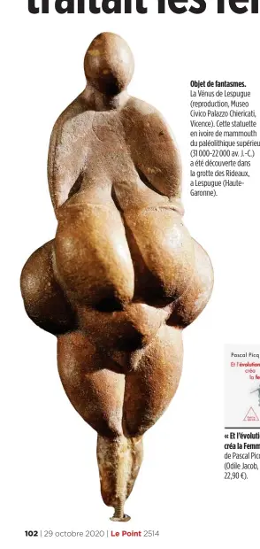  ??  ?? Objet de fantasmes.
La Vénus de Lespugue (reproducti­on, Museo Civico Palazzo Chiericati, Vicence). Cette statuette en ivoire de mammouth du paléolithi­que supérieur (31 000-22 000 av. J.-C.) a été découverte dans la grotte des Rideaux, a Lespugue (HauteGaron­ne).