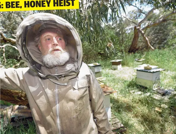  ?? Picture: ALAN BARBER ?? BITTER BLOW: Surf Coast beekeeper Michael Noakes with the remains of his ransacked beehives in Bellbrae.