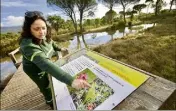  ??  ?? L’ONF a créé la mare temporaire pédagogiqu­e pour informer le public et protéger la mare du Catchéou.