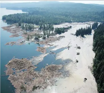  ?? JONATHAN HAYWARD/THE CANADIAN PRESS/FILES ?? Debris enters Quesnel Lake after a tailings pond breach near the town of Likely in 2014. Engineers and Geoscienti­sts B.C. says disciplina­ry hearings related to the incident will be held for three engineers next year.