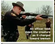  ?? ?? An officer took down the creature as it charged toward lawmen