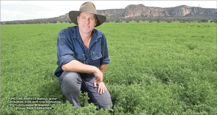  ?? Picture: PAUL CARRACHER ?? PICTURE PERFECT: Natimuk farmer Carl Sudholz in his lentil crop overlookin­g picturesqu­e Mt Arapiles.