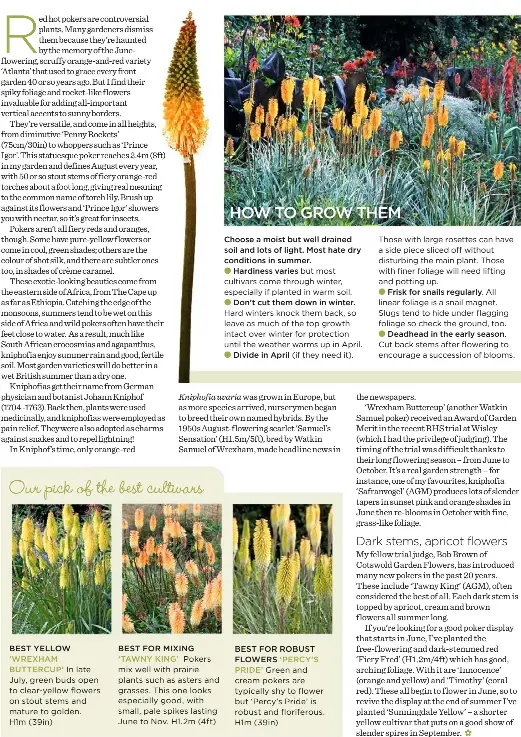 Red Hot Pokers Pressreader