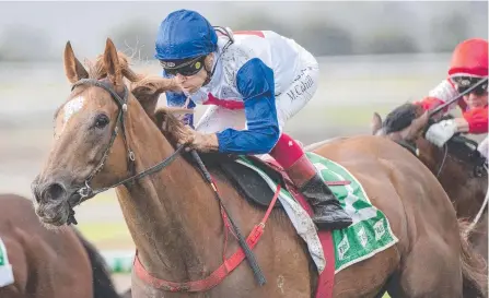  ?? Picture: MICHAEL McINALLY/RACING QLD ?? Sofie's Gold Class impresses jockey Michael Cahill with her Doomben win.