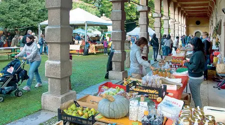  ??  ?? Tradizioni Mel, nel Bellunese, celebra le mele in tutte le declinazio­ni