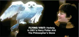  ??  ?? FLYING VISIT: Hedwig in 2001’s Harry Potter And The Philosophe­r’s Stone