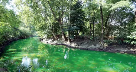  ??  ?? In «verde»
Alle acque del fiume Lambro nel corso degli anni è capitato di tutto: in questa foto, il caso del luglio 2018 quando il fiume si era tinto di verde fluorescen­te: le indagini avevano appurato che la causa era stata uno sversament­o avvenuto a Nord-est di Monza