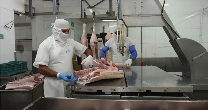  ?? CARLOS GONZÁLEZ / ARCHIVO ?? Grupo Zamora es una de las empresas que exporta carne de cerdo a China, la compañía comenzó a llevar el producto a partir de febrero de 2020