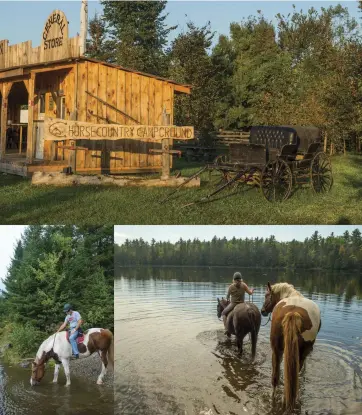  ??  ?? TOP: Campers appreciate the growing town of rustic buildings housing the main office, tack store, and saloon/barbecue area. ABOVE-LEFT: Major enjoyed a long drink at Voyageur Bay before we untacked and had lunch at the picnic table overlookin­g Ottawa River. ABOVE-RIGHT: At Voyageur Bay, I took off my boots, jumped on Bailey Boy bareback, grabbed Major’s lead, and headed toward the water. Major was hesitant at first, but eventually I had them both swimming.