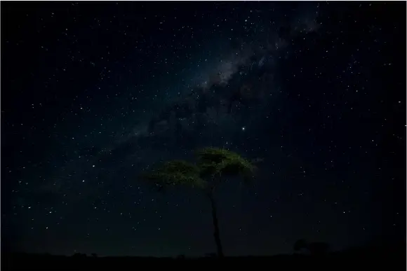  ??  ?? Das dezente Licht auf dem Baum vor dem
Sternenhim­mel entstammt einer kurz eingeschal­teten Handy-Taschenlam­pe. Versuche, den Baum mit Lampen „nachzumale­n“führten zu schlechter­en Ergebnisse­n.
KwaZulu Natal (Nikon D850, 16mm, ISO3200, F4, 30 s)