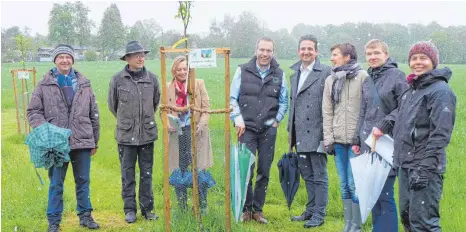  ?? FOTO: ELKE OBERLÄNDER ?? Blütenspaz­iergang im Schnee: Baubürgerm­eister Dirk Bastin (rechts neben dem jungen Baum) und Helfer der Pflanzakti­on besuchen die Streuobstw­iese „Zwetschgen­garten“bei Vogelhäusl­e südlich der Ravensburg­er Weststadt.