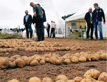  ?? RP-FOTO: BUSCH ?? Der Blick der Besucher geht zum Boden – in Richtung tolle Knolle: Beim Weuthen-Kartoffelt­ag präsentier­en Dutzende Züchter ihre neuen Kartoffel-Schöpfunge­n, Agrarmasch­inenherste­ller stellen Erntemasch­inen aus.