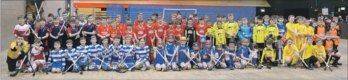  ?? Photograph: Iain Ferguson, alba.photos ?? The 11 P6/P7 teams from across Scotland who took part in the Ferguson Transport and Shipping National First Shinty Festival in the Nevis Centre, Fort William.