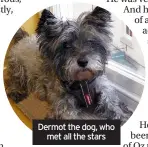  ??  ?? Dermot the dog, who met all the stars