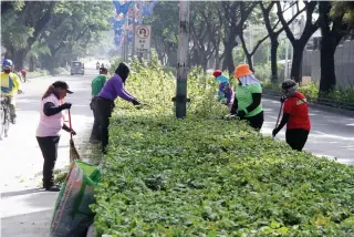  ?? ?? MAINTAININ­G THE GREEN SPACE
Workers of the city government of Dasmariñas in Cavite trim the bougainvil­lea flowers on the center island along Gov. D. Mangubat Avenue in Barangay Burol Main on Oct. 23, 2021. As part of the beautifica­tion project of the city government, workers were allowed to resume services but were subject to local health protocols.