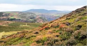  ??  ?? Looking south over the Sychnant Pass from Conwy Mountain with the start of the Carneddau range in the distance.