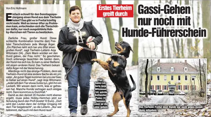  ??  ?? Tierheim-Leiterin Anja Witzmann (34) würde Rottweiler Puma (3) keinem Laien an die Leine geben. Das Tierheim Freital lässt Hunde nur noch gegen Ausbildung mitgehen.