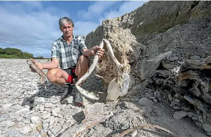  ?? DOUG FIELD/STUFF ?? Roger Small on the Waihao riverbed with rubbish from the old dump site that has been unearthed by erosion caused by floods.