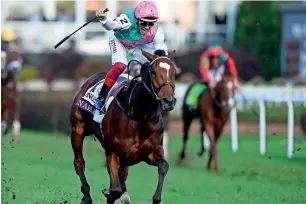  ?? AFP ?? Lanfranco Dettori rides Enable to victory in the Breeders’ Cup Turf race on the second day of the Breeders’ Cup at Churchill Downs in Louisville, Kentucky. —