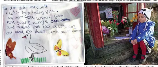  ??  ?? Village in mourning: A tribute to the goose by local child Cerys Brey
Missed: Michelle Imura, four, sits by flowers left by residents