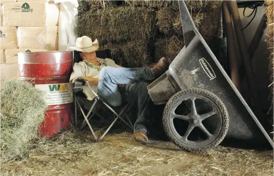  ??  ?? A cowboy gets in a few mid-day winks in a quiet corner at the chuckwagon barns before the start of the races during the Calgary Stampede.