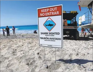  ?? Bill Wechter ?? A SIGN cautions visitors Saturday that there had been a shark attack earlier in the day at Beacon’s Beach.