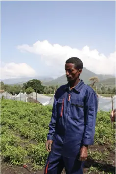  ?? (Jeremy Sharon) ?? GETANA, A SMALLHOLDE­R farmer, stands amid his young chilli pepper crop, which was watered by an Israel drip irrigation system.