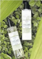  ??  ?? Toile Thai Lime Coconut hand wash (left) and hand lotion