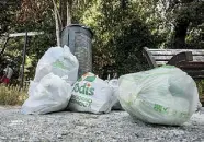  ??  ?? Pattume nel parco Sacchetti di spazzatura abbandonat­i attorno a uno dei bidoni di Villa Glori, ai Parioli (LaPresse)