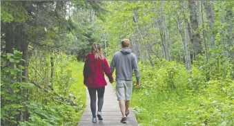  ?? DEBBIE OLSEN ?? A boardwalk is part of the 18 kilometres of walking trails at JJ Collett Natural area north of Lacombe, Alta.