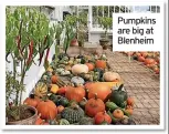  ??  ?? Pumpkins are big at Blenheim